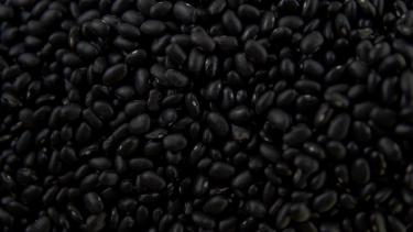 Black Currant Recipes: 2026's Breakout Flavor Star