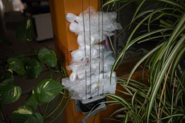 Air Fryer Fatigue: Why Precision Cookers Are Taking Over