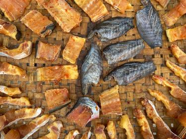 Garum Revival: Crafting Ancient Roman Fish Sauce at Home