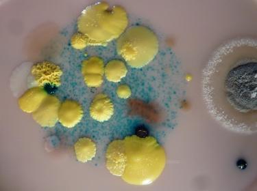 Spherification at Home: Molecular Gastronomy Made Simple