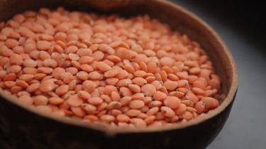 Budget Bean Cookery: Ten Delicious Ways With Dried Beans