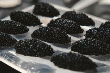 Caviar at Home: Affordable Luxury Pairings for Beginners