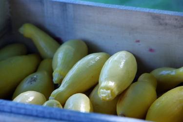 Pickle Revolution: Quick Pickling Fruits and Vegetables