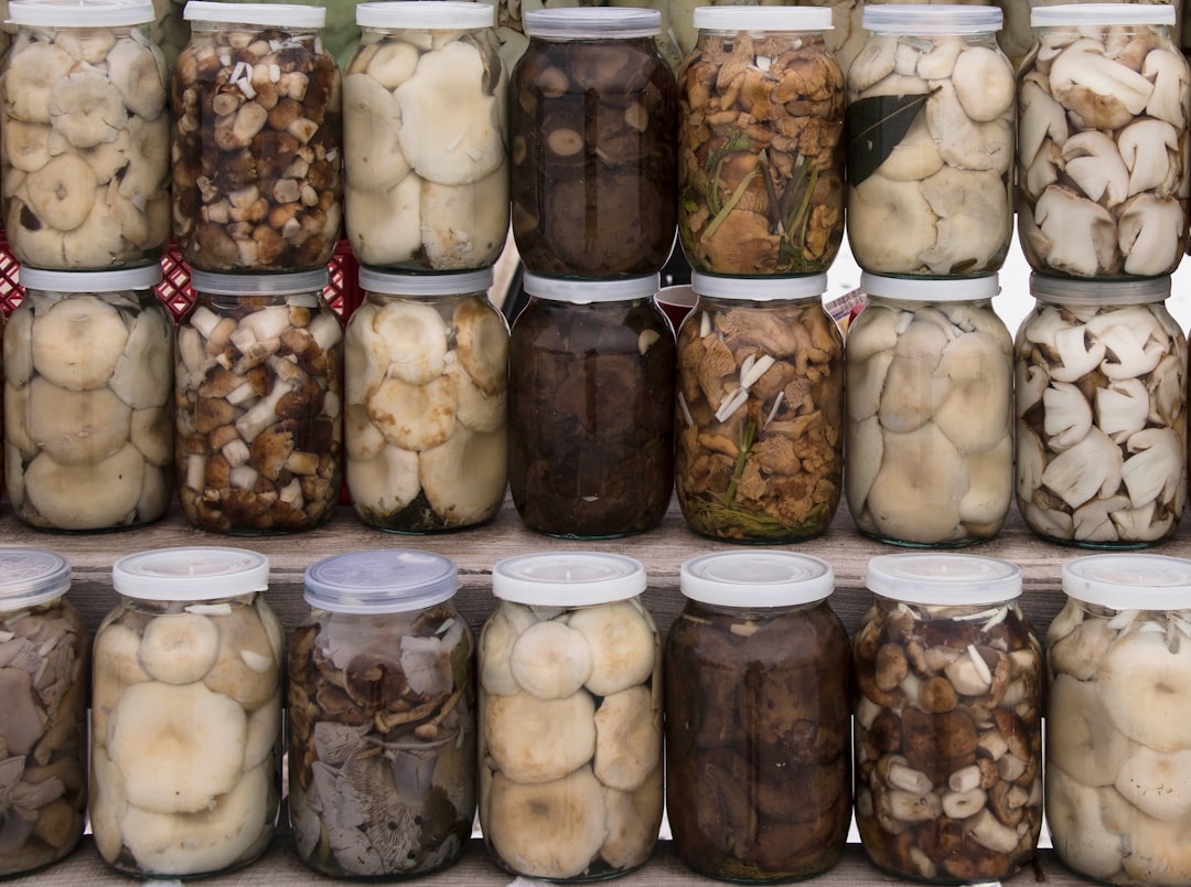 Fermentation Basics for Beginners at Home