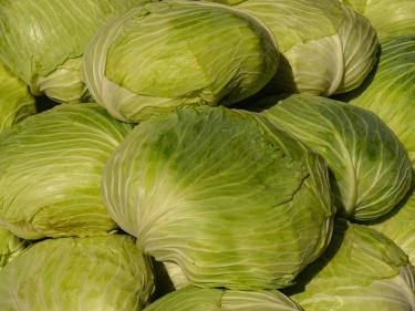 Cabbage Is the New Cauliflower: Versatile Brassica Recipes