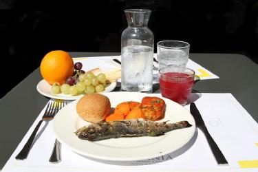 Intermittent Fasting Meal Prep: What to Eat During Eating Windows